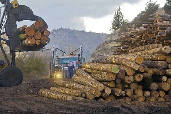 Canada â€˜shunsâ€™ from lumber pact as Obama, Trudeau meet - The Gulf ...