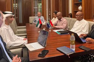 Lead uae south africa