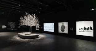 Zayed National Museum invites visitors to exhibition in Fujairah