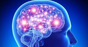 Non-invasive sound therapy boosts hope for Alzheimer’s treatment