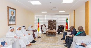 UAE-Cameroon Trade and Investment Day explores opportunities