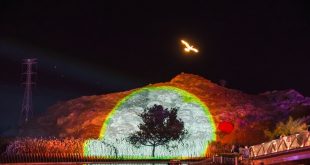 ‘Hatta Unites Us’ festival showcases entrepreneurial success stories driving economic, social development