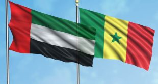 UAE’s effective participation in UN Water Conference preparatory meeting commended