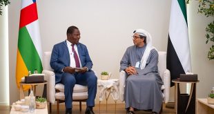 Mansour bin Zayed meets Central African Republic President on sidelines of World Governments Summit