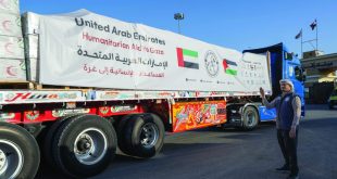 Side DC – 2 col pic and take it full Humanitarian, medical aid convoys arrive in Gaza as part of ‘Operation Chivalrous Knight 3’