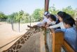 Al Ain Zoo Welcomes Ramadan with Family Friendly Experiences and Updated Opening Hours