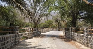 Qidfa Village in Fujairah receives international recognition certificate from FAO