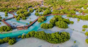 EAD, TAQA partner to support aims of Abu Dhabi Mangrove Initiative