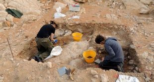 Sharjah invites int’l researchers to apply for research grants