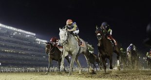 100 horses to compete in 30th Dubai World Cup tomorrow