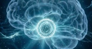 Breakthrough places Abu Dhabi among select group of centres advancing brain stem cell research