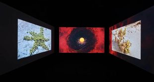 Proximities showcases works from UAE-based artists in  Korea