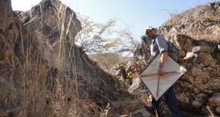 EPAA discovers 4 new spider species in UAE