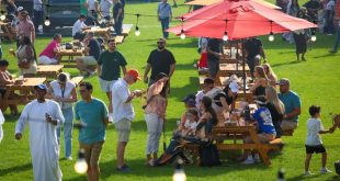 DCT Abu Dhabi posts record performance across culture and tourism in 2025