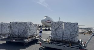 UAE sends 100 tonnes of aid to Gaza under ‘Humaid Air Bridge’