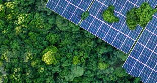 First Abu Dhabi Bank unveils  net-zero transition plan in 2026