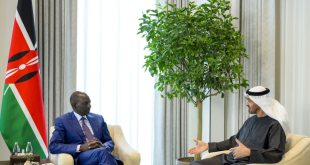 UAE and Kenyan Presidents discuss cooperation under CEPA and regional developments