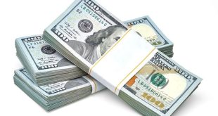 US dollar near roughly 10-day high, oil declines