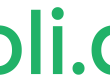 Boli.ae Launches UAE’s First Fully Digital Property Auction, Closing Elite City Walk Asset Within 7 Days