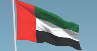 UAE condemns hijacking of oil tanker, affirms full solidarity with Arab Republic of Egypt