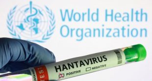 WHO confirms human transmission of Andes Hantavirus strain on cruise ship