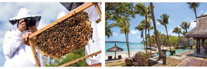 The Art of Sustainable Travel