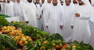 Khorfakkan Mango Festival 2026 kicks off at Expo Khorfakkan