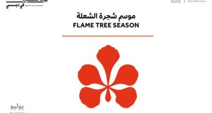 Dubai Culture: School of Life expands learning opportunities with 23 interactive workshops across Dubai Public Libraries this July