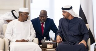 UAE and Chad Presidents discuss strengthening cooperation