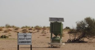 UAE smart feeder processes 15 million images to monitor wildlife feeding