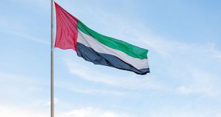 UAE tops GCC in electric mobility readiness: report