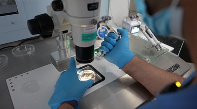 FAKIH IVF MARKS 15 YEARS IN THE UAE WITH “15 YEARS OF FAMILY” INITIATIVE, GIVING 15 FAMILIES A NEW BEGINNING