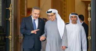 Mansour bin Zayed, Turkish Foreign Minister discuss strategic partnership