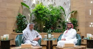 Mansour bin Zayed, Saudi Crown Prince discuss fraternal relations