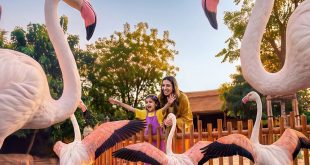 Dubai Safari Park gears up to welcome visitors for Season 8 from October 12
