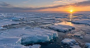 NYU Abu Dhabi develops new algorithm to improve climate change predictions