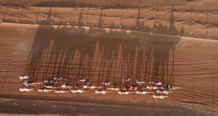 20th Al Dhafra Festival to kick off in Suwaihan today